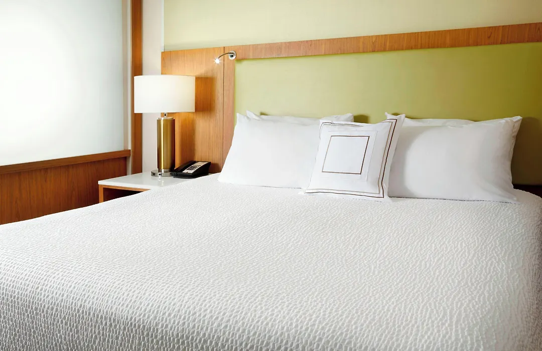 Springhill Suites By Marriott Pittsburgh Bakery Square-1