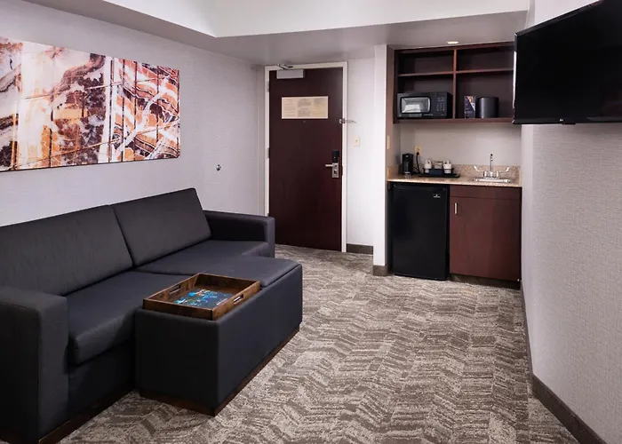 Pittsburgh HotelsSpringhill Suites By Marriott North Shore